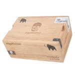 RoMa Craft Aquitaine Mastodon