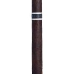 RoMa Craft CroMagnon Anthropology
