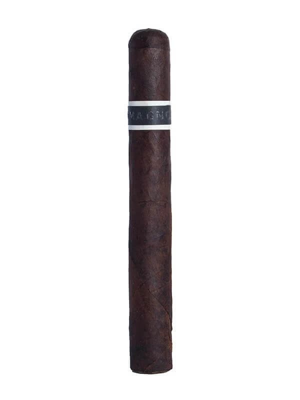 RoMa Craft CroMagnon Anthropology