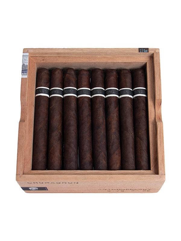 RoMa Craft CroMagnon Anthropology
