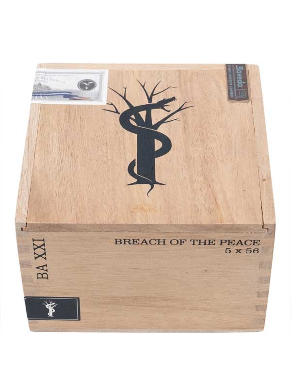 RoMa Craft Intemperance BA XXI Breach of The Peace