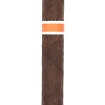 RoMa Craft Neanderthal KFG