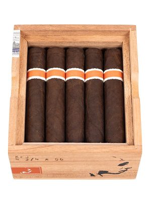 RoMa Craft Neanderthal KFG