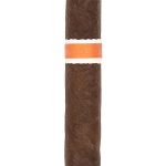 RoMa Craft Neanderthal SGP