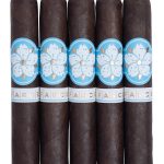 Room101 Farce Nicaragua Robusto