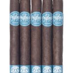 Room101 Payback Nicaragua Toro