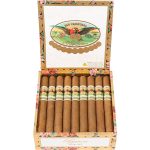 San Cristobal Elegancia Churchill