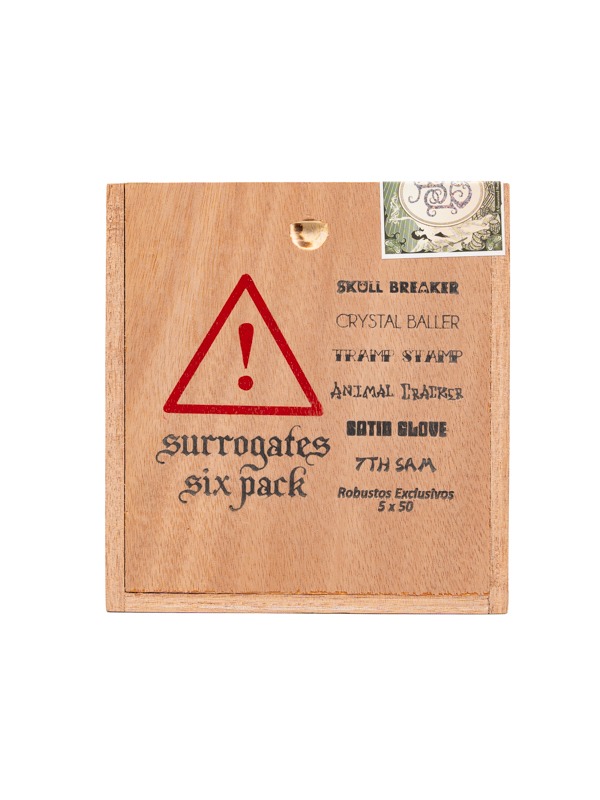 Surrogates Six Pack