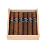 Surrogates Six Pack