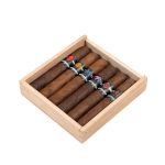 Surrogates Six Pack