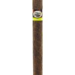 Tatiana Classic Caribbean Chill