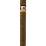 Tatiana Classic Harvest Moon