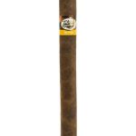Tatiana Classic Honey