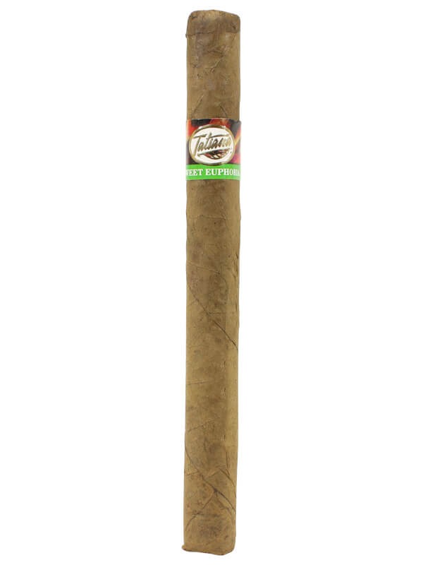 Tatiana Classic Sweet Euphoria