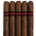 Tatuaje SexTooth Holiday