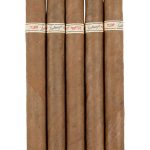 Tatuaje Skinny Monsters Tiff