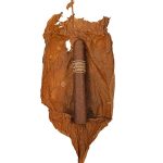 Leaf by Oscar Corojo Robusto