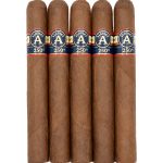 Aladino 250th Toro