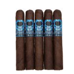 Asylum Signature Series by Tom Lazuka Robusto