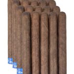 Diesel Grind Toro