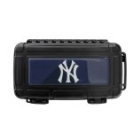 New York Yankees Baseball Travel Humidor