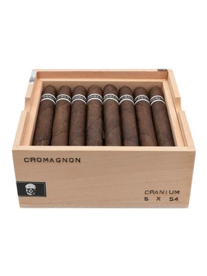 RoMa Craft CroMagnon Cranium