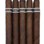 RoMa Craft CroMagnon Cranium