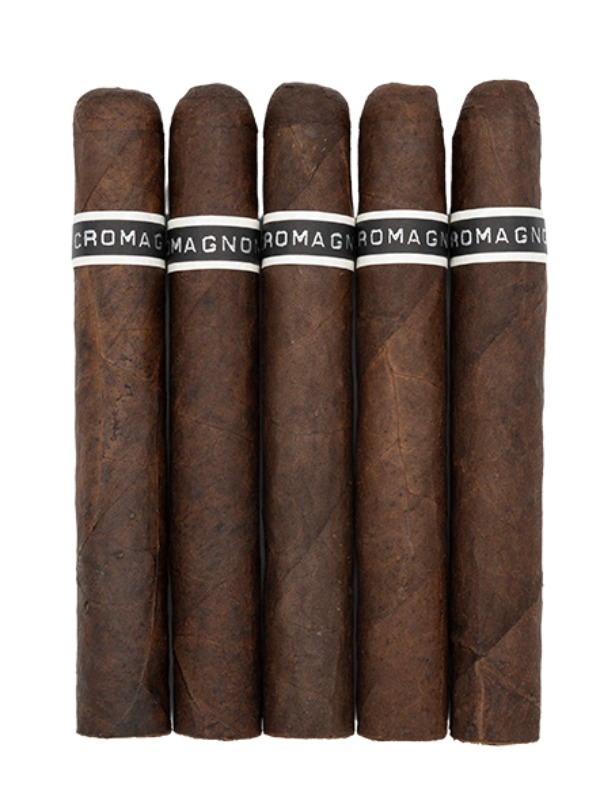RoMa Craft CroMagnon Cranium