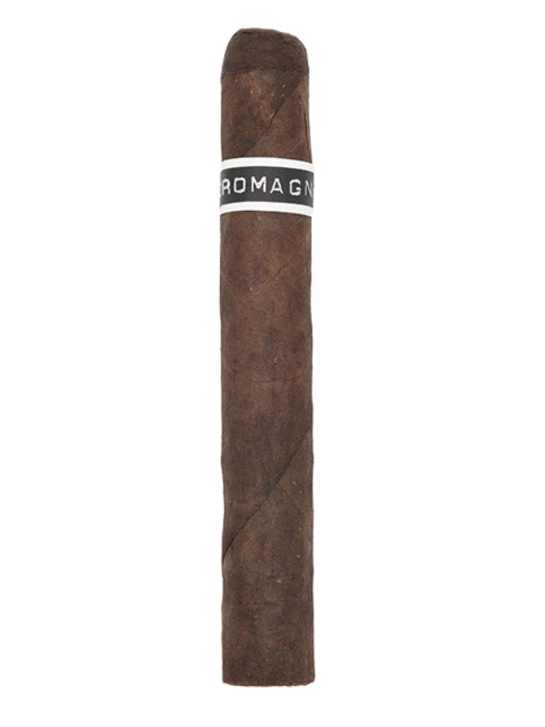RoMa Craft CroMagnon Cranium