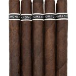 RoMa Craft CroMagnon Cranium