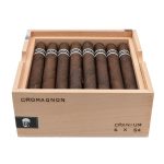 RoMa Craft CroMagnon Cranium
