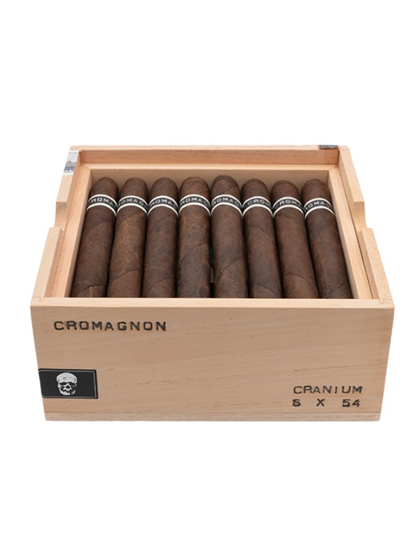 RoMa Craft CroMagnon Cranium
