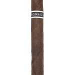 RoMa Craft CroMagnon Cranium