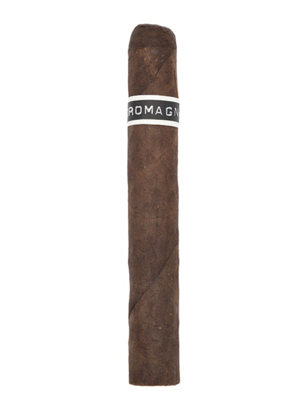 RoMa Craft CroMagnon Cranium