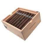 RoMa Craft CroMagnon Cranium