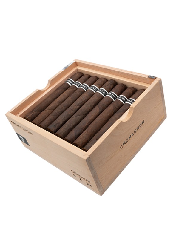 RoMa Craft CroMagnon Cranium