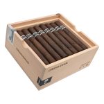 RoMa Craft CroMagnon Cranium