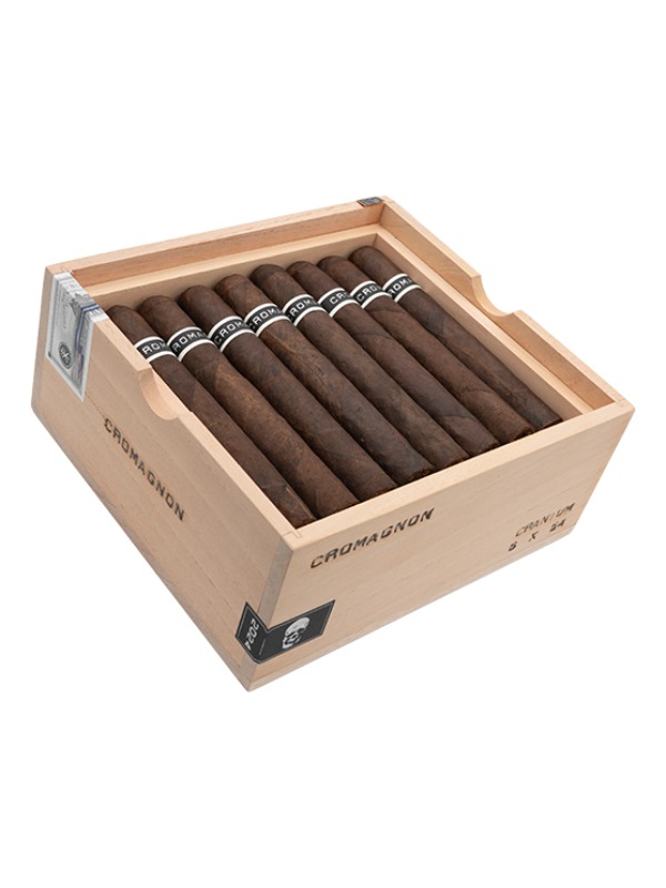 RoMa Craft CroMagnon Cranium