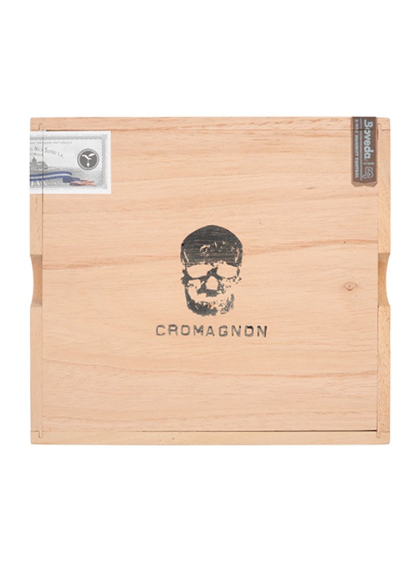 RoMa Craft CroMagnon Cranium