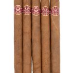 Arturo Fuente Curly Head Deluxe Natural