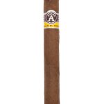 Aladino Corojo Toro