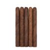 BONUS Tampa Trolleys 5-Pack