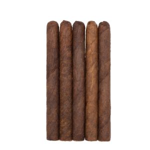BONUS Tampa Trolleys 5-Pack