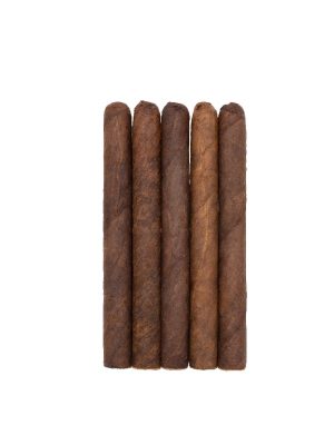 BONUS Tampa Trolleys 5-Pack