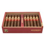 AVO Expresivo Robusto
